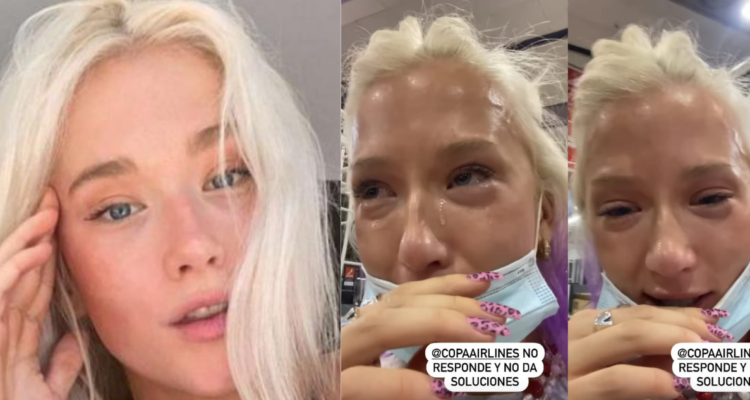 vesta-lugg-aerolinea-perrita