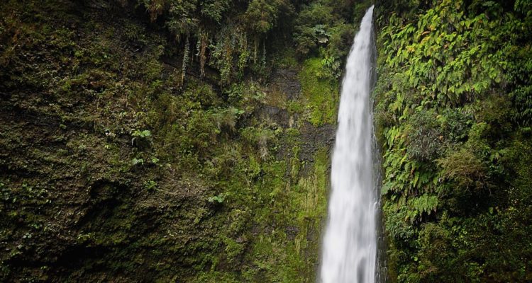 Flickr | Jorge León Cabello