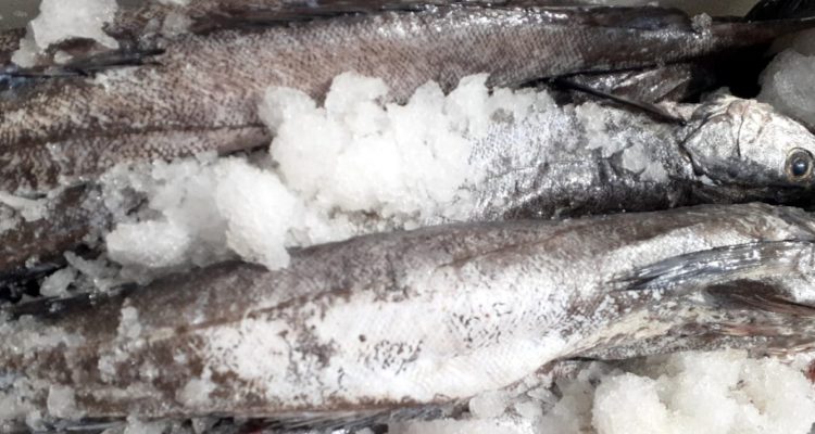 Twitter | Sernapesca