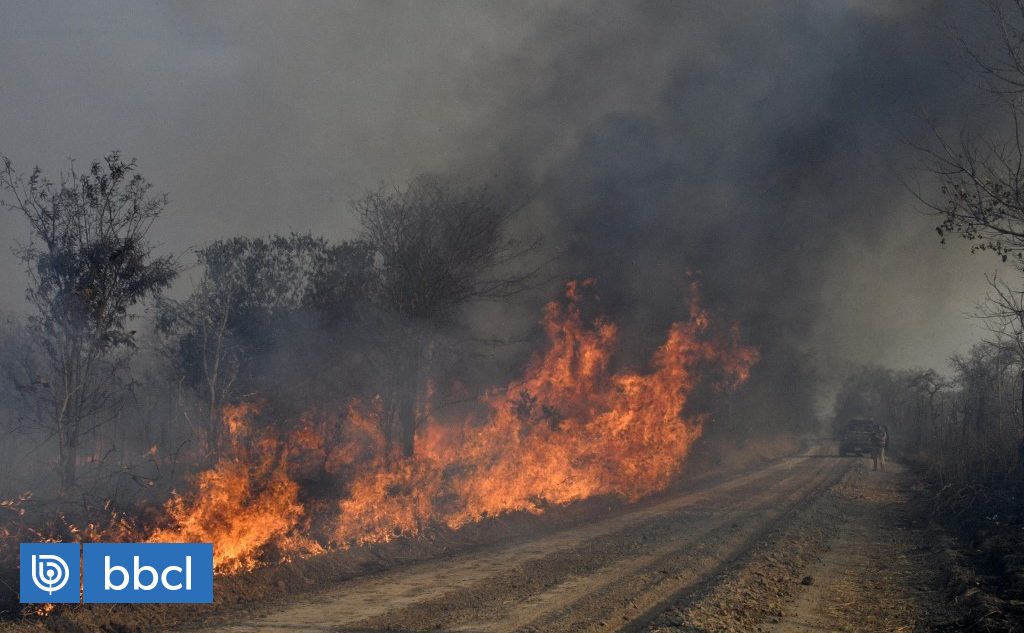 Incendios Llevan 1 Millón De Hectáreas Arrasadas Este 2021 En ...