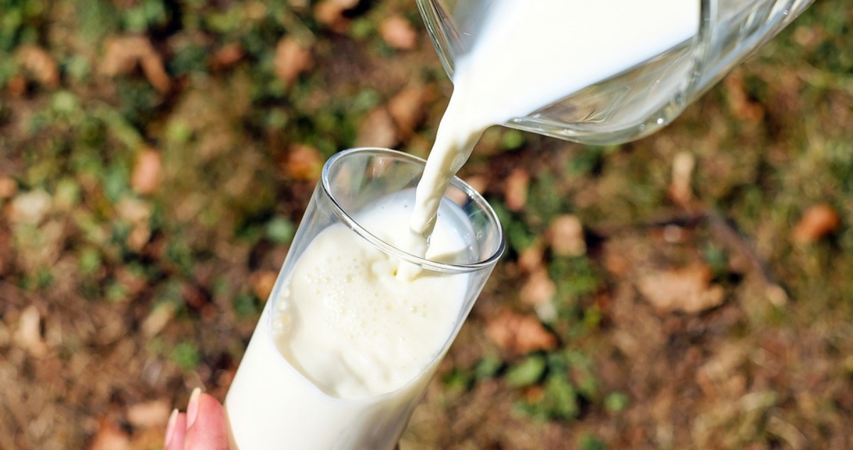soprole fonterra productores