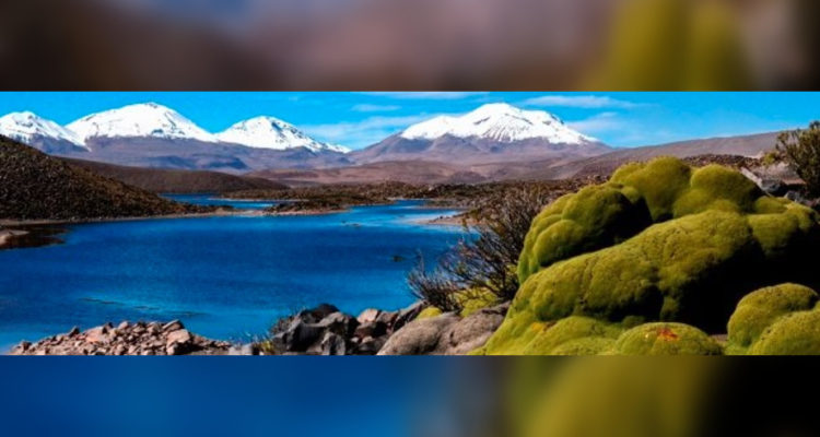 unesco-casi-cuadriplica-superficie-reserva-biosfera-lauca