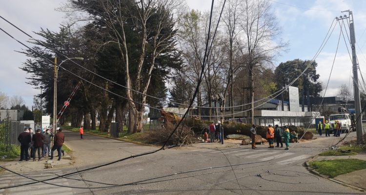 Carlos Martínez | RBB