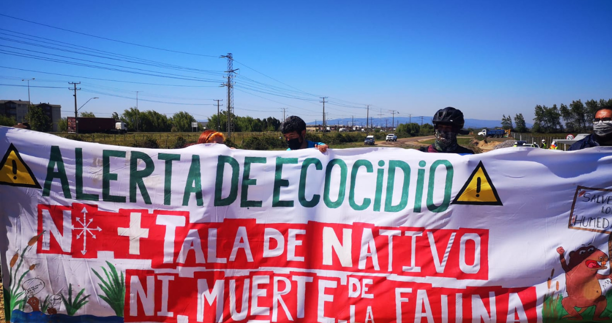 Personas sosteniendo pancartas
