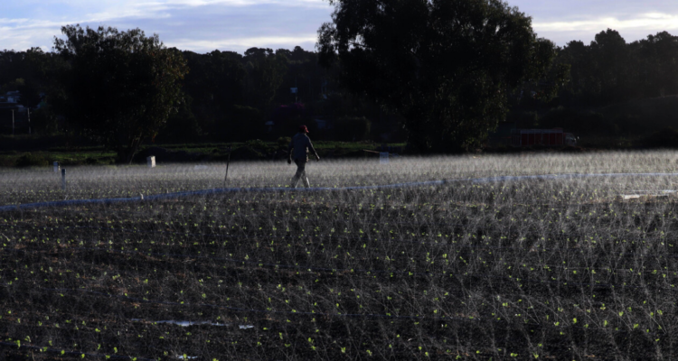 Contexto | Agencia UNO