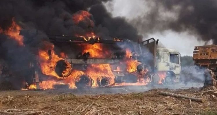 @paolaretamal77 | Twitter | Concejala de Carahue 