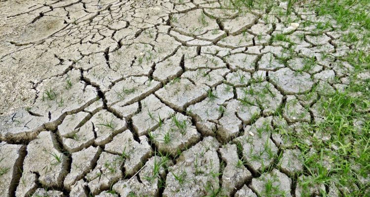 Jody Davis | Pixabay