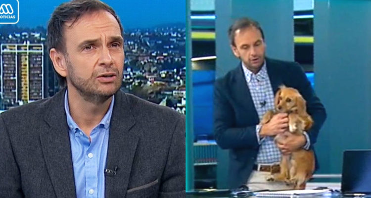 PERRITA PATY Y RODRIGO SEPULVEDA