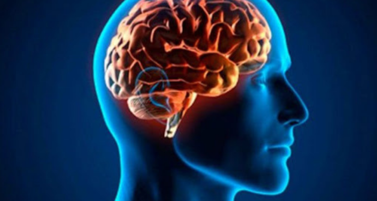 Archivo | Pexels (CCO)