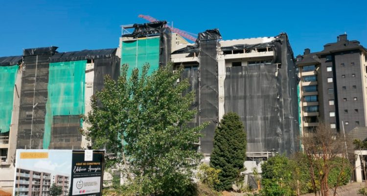 Denuncian a Inmobiliaria Teja Sur ante SMA por proyecto en Isla Teja de Valdivia