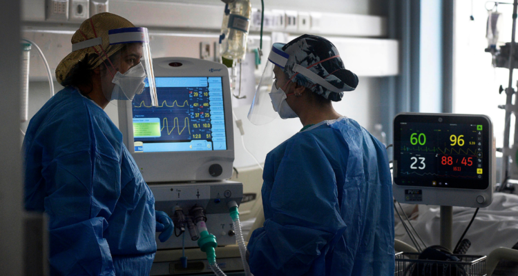 brote de delta en tocopilla