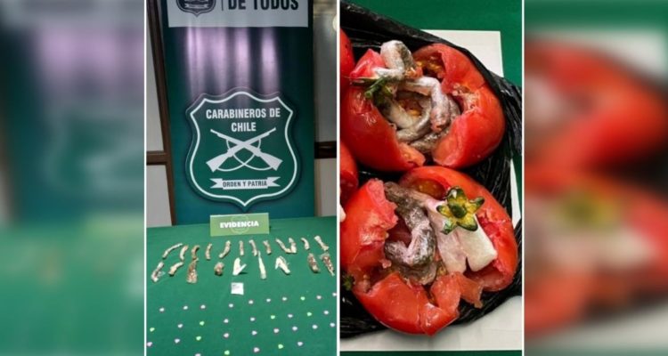 Twitter @CarabAraucania