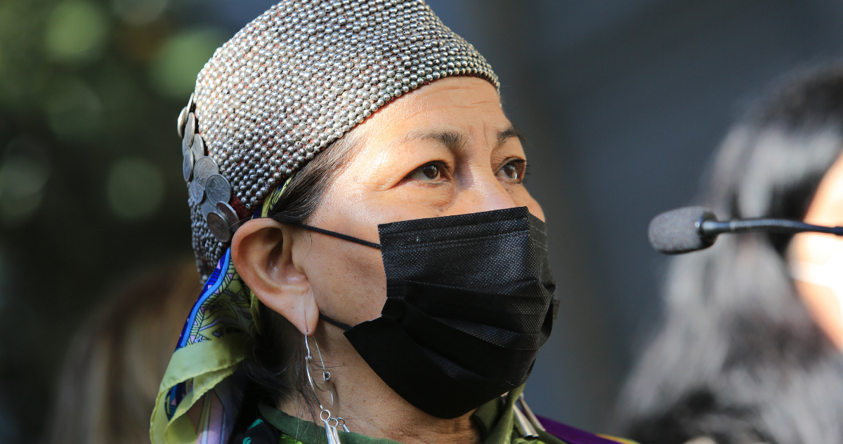 Una líder en derechos indigenas está tratando de reescribir la Constitución de Chile para poner el ecosistema primero