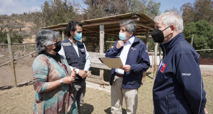 entrega-bonos-pequeños-ganaderos-y-apicultores-indap
