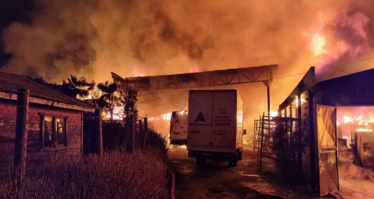 Fallo ordena al Gobierno proteger a víctimas de violencia rural en Arauco.