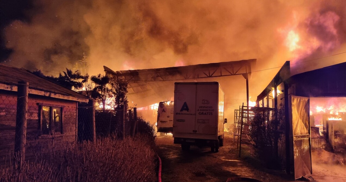 Fallo ordena al Gobierno proteger a víctimas de violencia rural en Arauco.