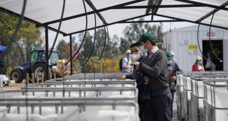 Tecnología alianza público-privada