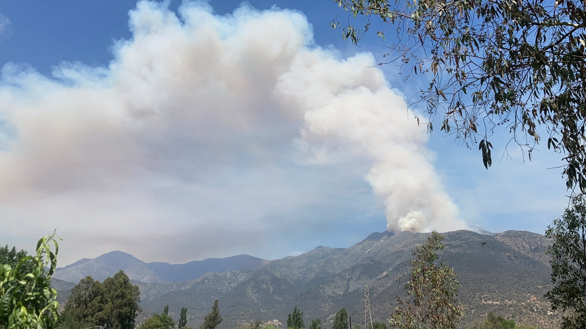 incendio-forestal-paine.jpg