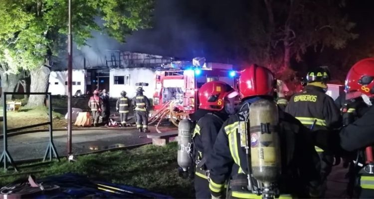 Cristian Cerna | RBB