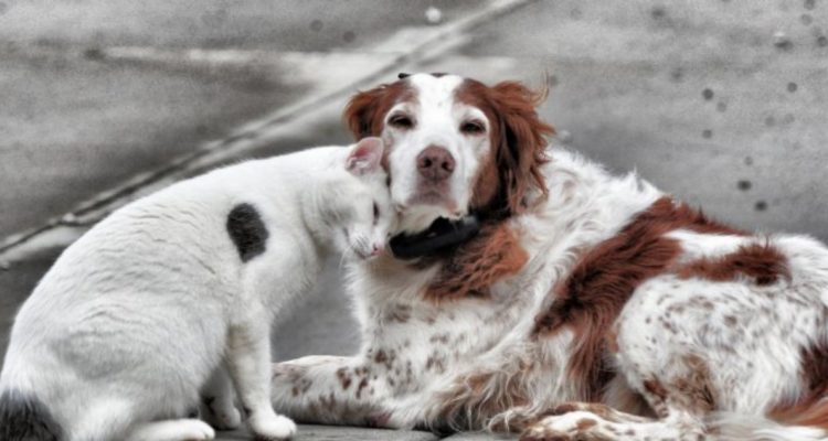 ARCHIVO | Francisco Longa | Agencia UNO
