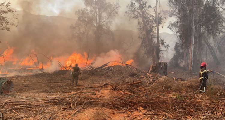 Incendio en Panquehue