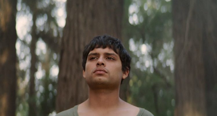 Mis hermanos sueñan despiertos, Market Chile (c)