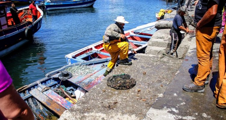 Pescadores por ley de la Jibia
