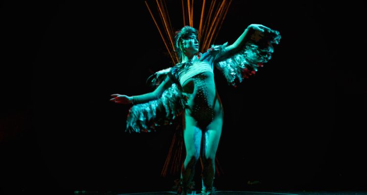 Reche, los caciques retornan | Cedida