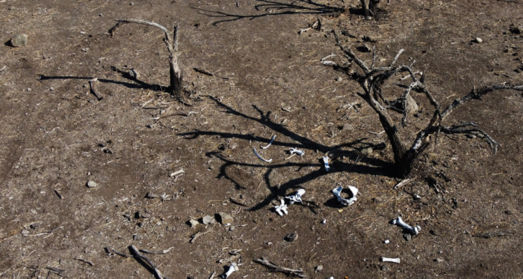 sequía-en-valparaíso-director-de-obras-hidraúlicas-se-reúne-con-alcaldes-por-escasez-hidrica