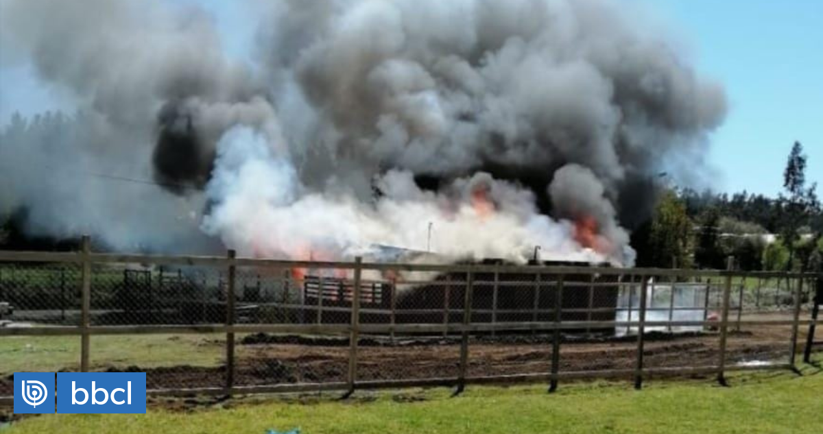Continúan hechos de violencia en provincia de Arauco: encapuchados queman sede comunitaria en Tirúa