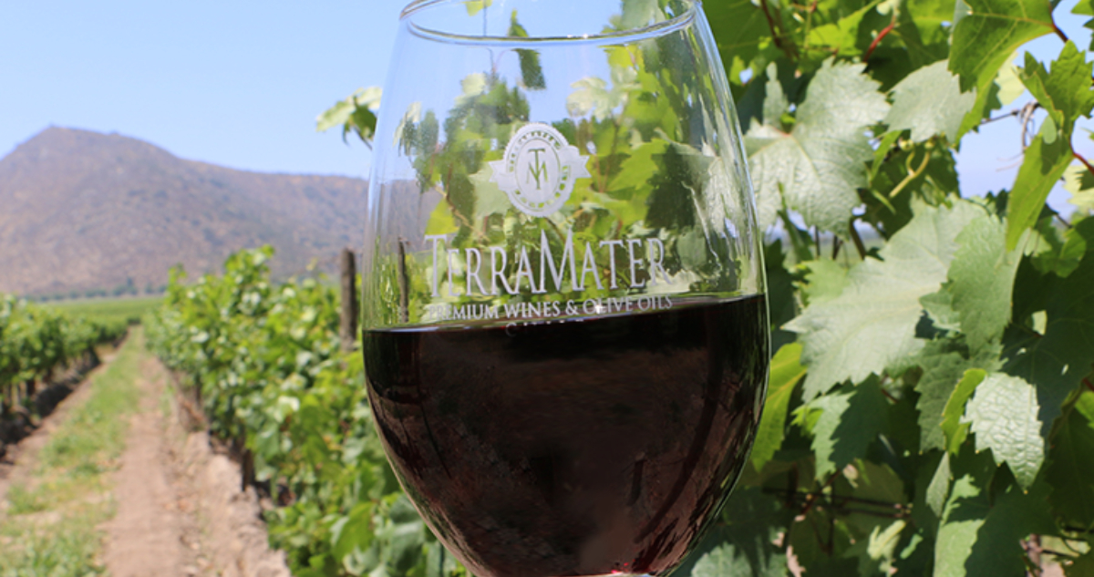 TerraMater