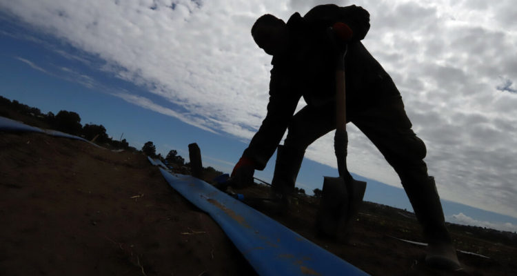 Alcaldes valoraron declaración de la región de Los Ríos como zona de escasez hídrica