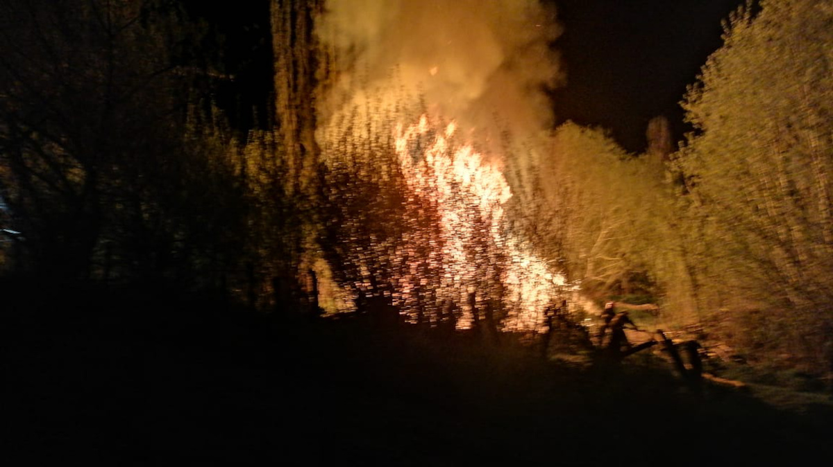 Alrededores de galpón incendiado intencionalmente en Lonquimay