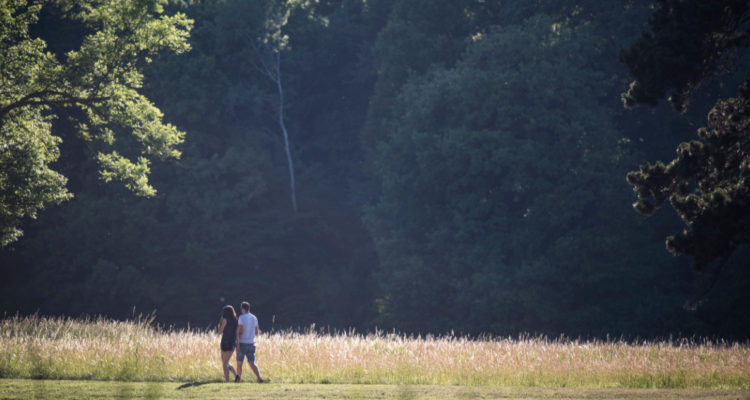 Austria entra en vigor el confinamiento exclusivo de ciudadanos no inmunizados