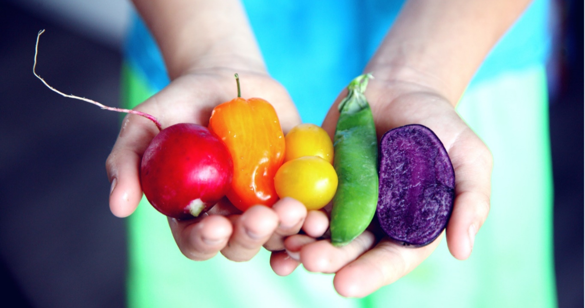 Verduras de colores