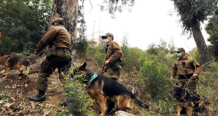 Carabineros buscando persona