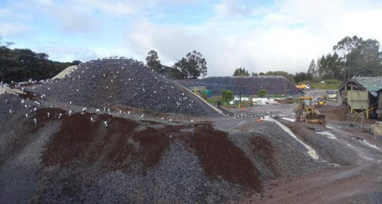 Medidas correctivas para CAL Austral.