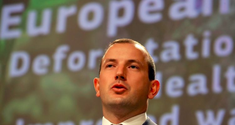 Comisario europeo del Medio Ambiente, Virginijus Sinkevicius.