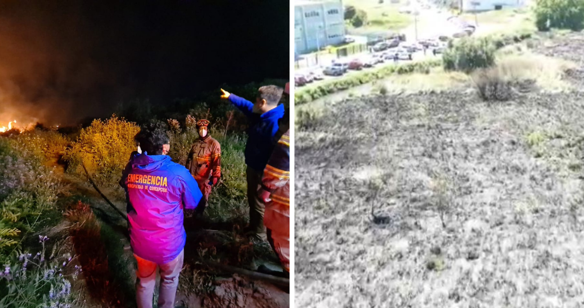 Conaf investiga incendio en Humedal Paicaví