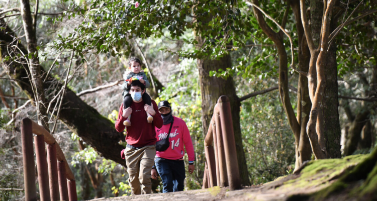 Confirman restauración de Parque Londres en Valdivia