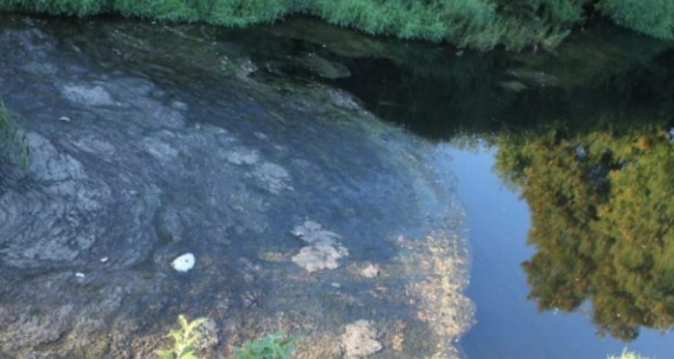 Formulan cargos por contaminación del Río Damas