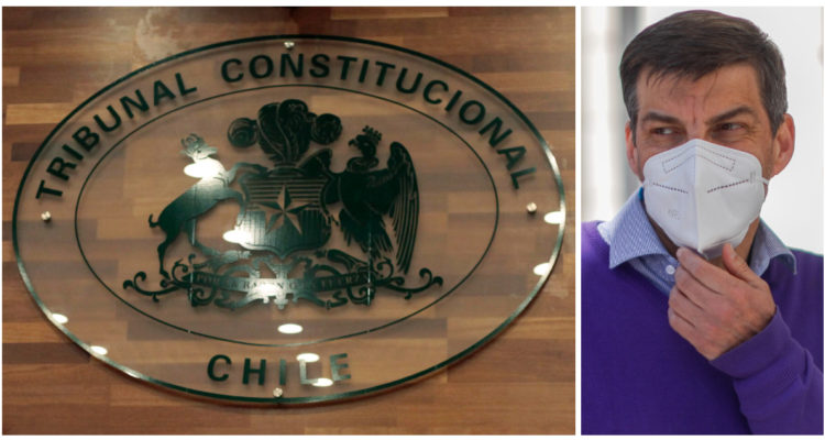 Logo del Tribunal Constitucional y convencional Daniel Stingo.