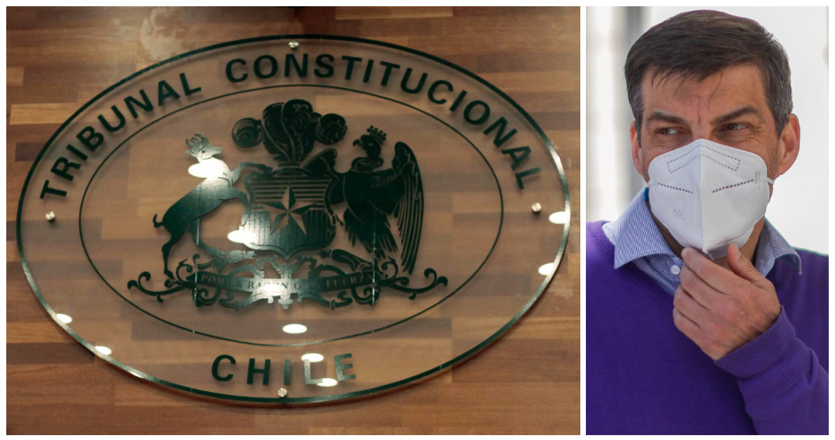 Logo del Tribunal Constitucional y convencional Daniel Stingo.