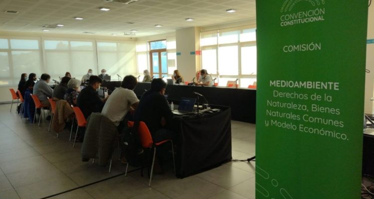 Convención Constitucional en Biobio sesionan comisiones en comunas