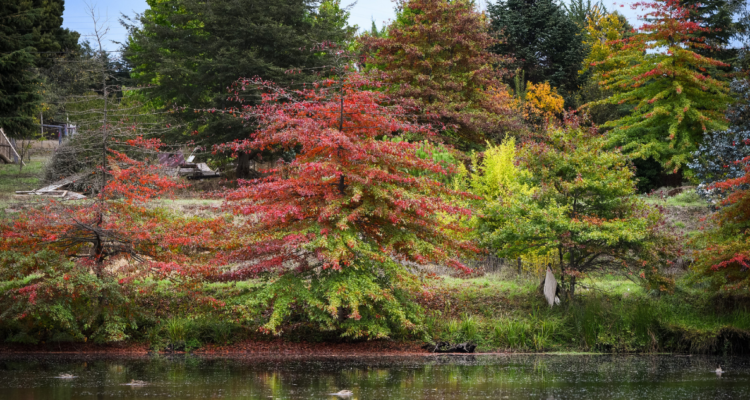 Marcos Maldonado | Agencia UNO
