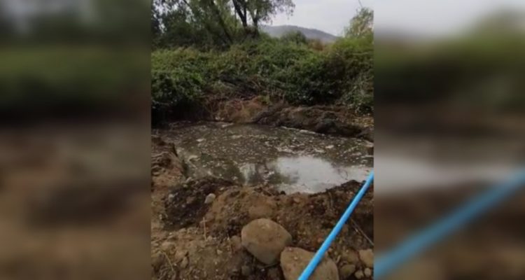 Twitter | Tomás Greenne