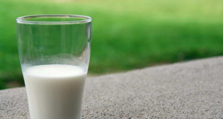 En pro del desarrollo agrícola Fedeleche llama a potenciar sector rural de cara a segunda vuelta