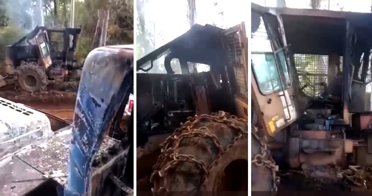 El desconsolado llanto de trabajador forestal tras la quema de sus maquinarias de trabajo en La Unión