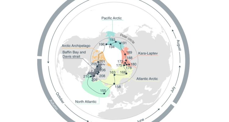 Mapa de microorganismos en el Ártico.