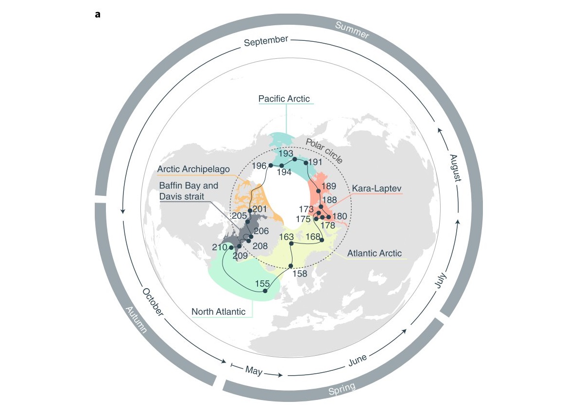 Mapa de microorganismos en el Ártico.